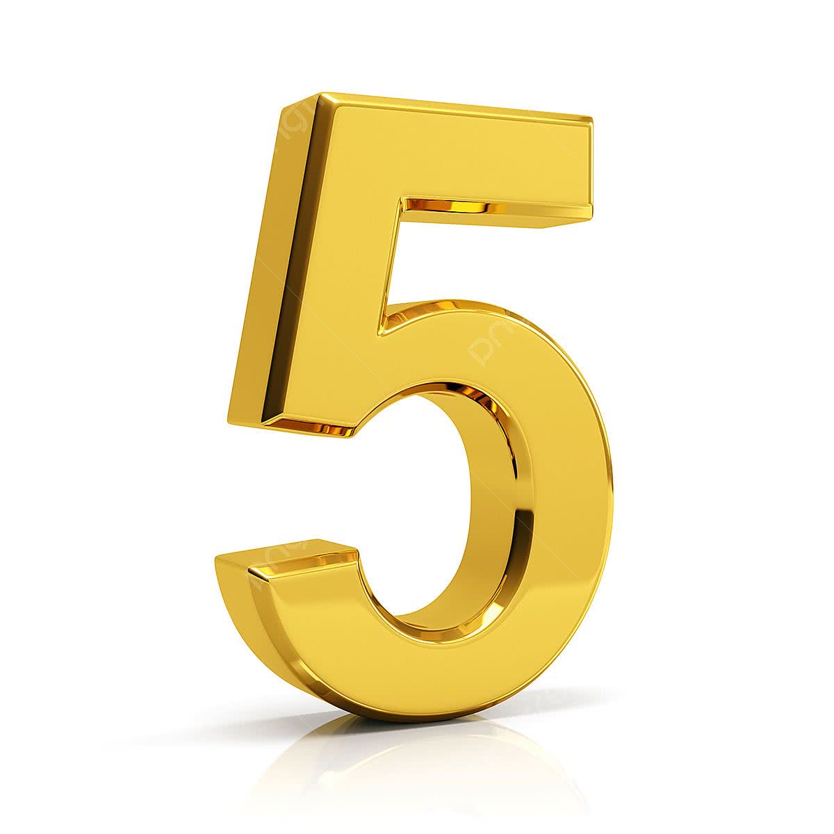 5 Proven Tips to Choose Your Ideal Accident Lawyer